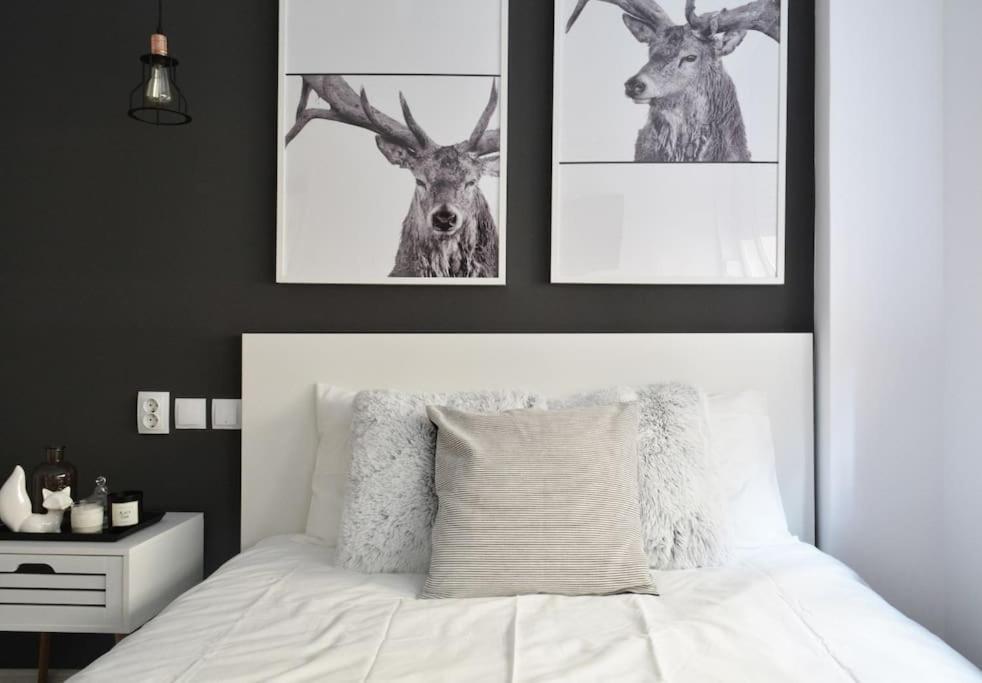 2 Bdr / Cozy Ap Near Old Town Διαμέρισμα Βουκουρέστι Εξωτερικό φωτογραφία